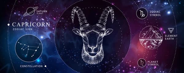 Capricorn in Vedic Astrology: The Ambitious Architect of Destiny (Makara Rashi) Capricorn