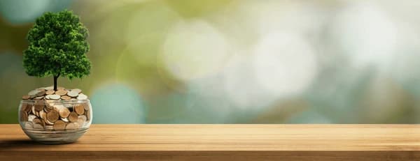 Personalized Business Growth Report: Align Your Venture with Cosmic Energies